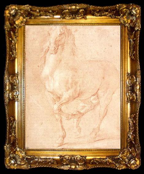 framed  PUGET, Pierre Study of a Horse, ta009-2